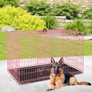 Pink wire hotsell dog crate